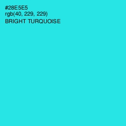 #28E5E5 - Bright Turquoise Color Image